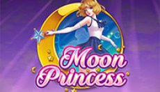 Moon Princess (Лунная принцесса)