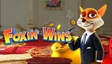 Foxin Wins (Foxin выигрывает)