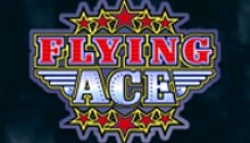 Flying Ace (Летающий туз)