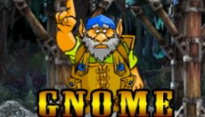 Gnome